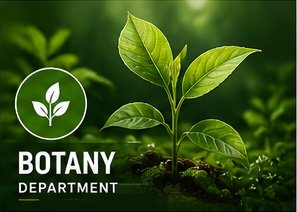 Botany